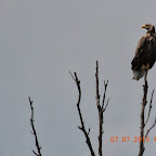 DSCN9660.JPG