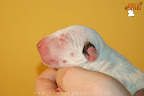 Girl 1 - day 1