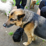 IMGP6143.jpg
