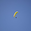 Liervliegen oktober 2011
