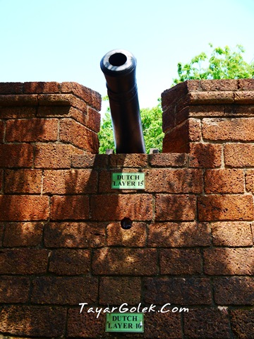 [P10003883.jpg]