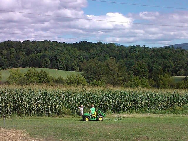 WP_001183 WP_001183