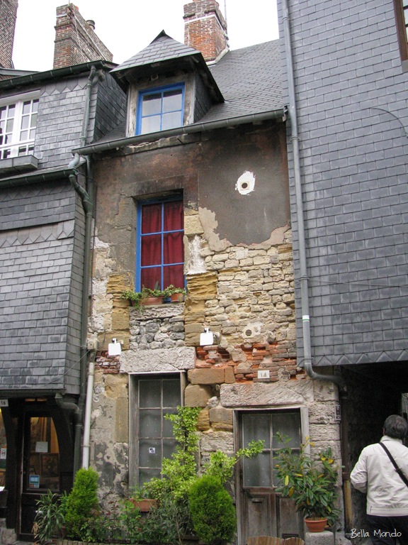 [IMG_004512.jpg]