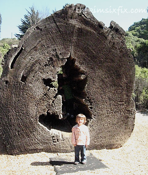 Bay area discovery museum