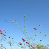 201105