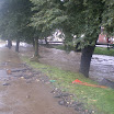 IMGP0523.JPG