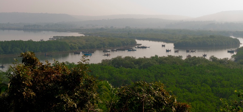 DSC_2027.jpg DSC 2027