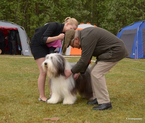 DSC_0836 DSC_0836