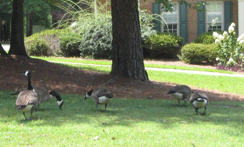 [IMG_00841%255B1%255D.jpg]
