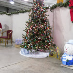 SDC11362.JPG