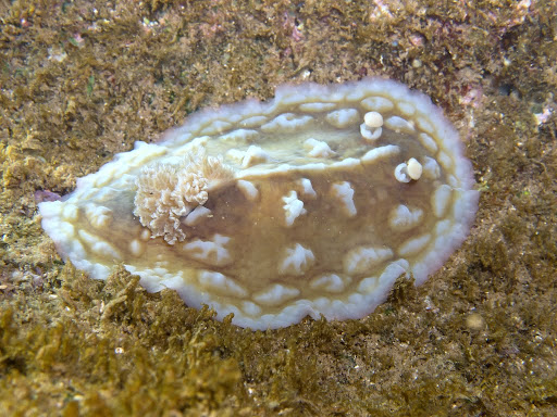 P7100228