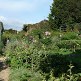 P1040002.JPG