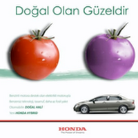 greyline-guray ergun.png