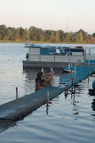 2011-08-07 19.58.43.jpg