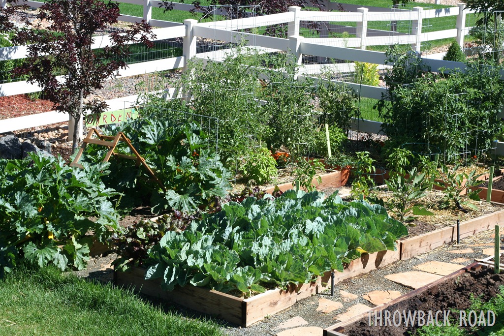 [garden%2520walk%2520July%252017%2520007%255B2%255D.jpg]