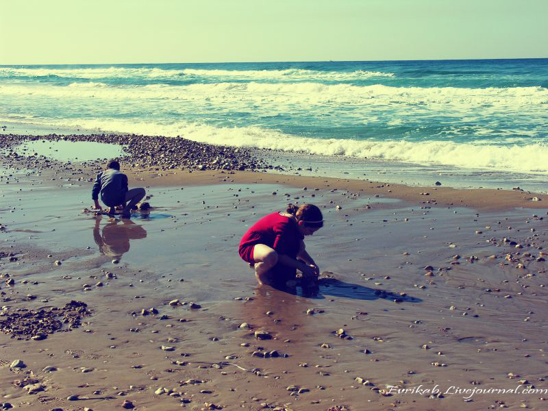 ЗИМНЯЯ ХАЙФА