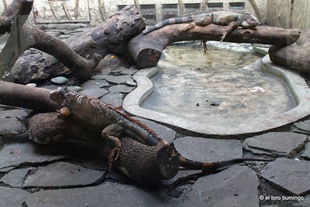 [IMG_3502%255B3%255D.jpg]