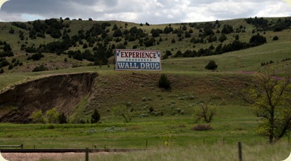 IMG_8326 IMG_8326