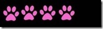 [4_paws_thumb15.jpg]