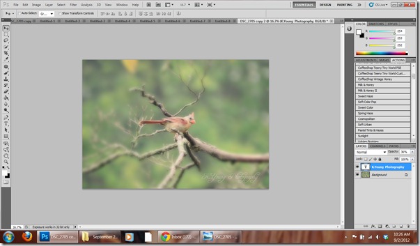 Step 8 Gaussian Blur