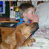 funny-dog-pictures-praying-dog-boy-bed.jpg