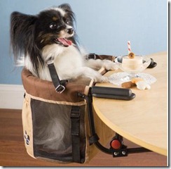 pet high chair pet high chair