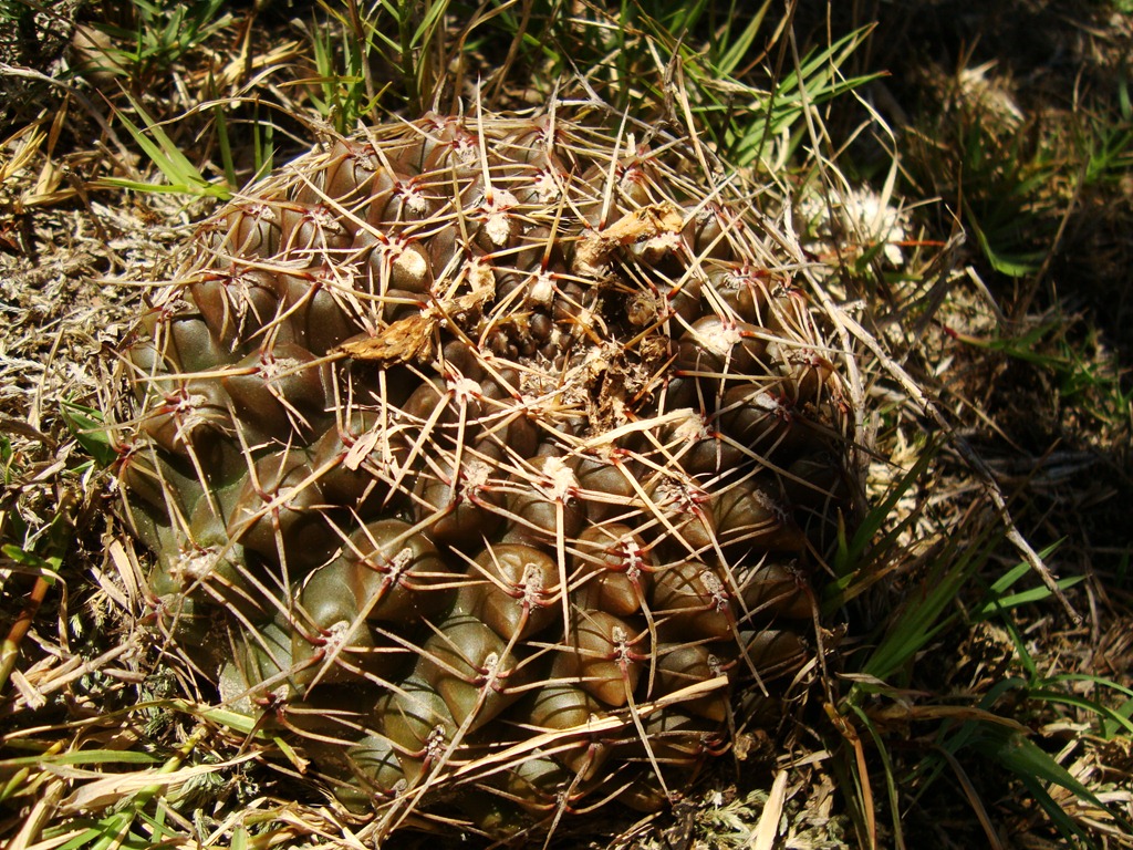 [DSC04508%255B4%255D.jpg]