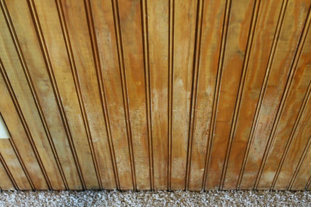 [The%252010%2520Cent%2520Tour%2520166%255B4%255D.jpg]