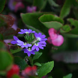 IMG_1943.JPG