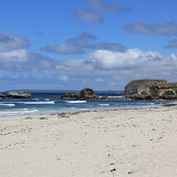 Seal Bay on Kangaroo Island - Adelaide, Australia