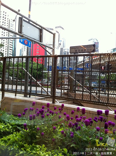 IMG_2583 IMG_2583