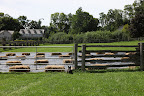 Browning the Donkey Paddock