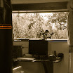 vandorlak_x1-1.jpg