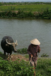 Hue, Vietnam 869.JPG