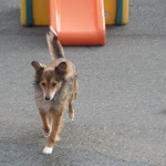 DSCN4563.jpg