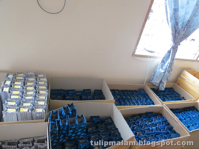 [IMG_1566%255B2%255D.jpg]