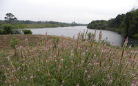 DSCN2059.JPG Photo