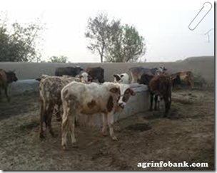 Comprehensive plan being pursued for farmers' welfare: Zaman: agrinfobank.com Comprehensive plan being pursued for farmers' welfare: Zaman: agrinfobank.com