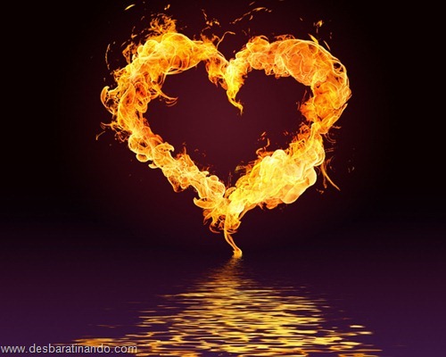 wallpapers fogo fire desbaratinando (18) wallpapers fogo fire desbaratinando (18)
