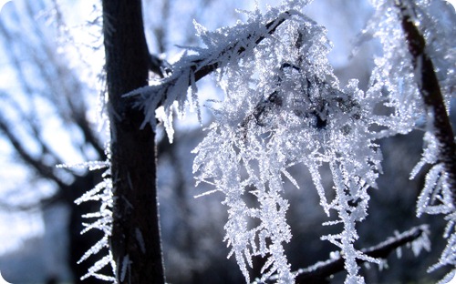 winter-of-wallpaper (1) winter-of-wallpaper (1)