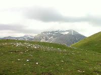 IMG_1339.JPG