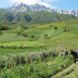 Kyrgyz Boys in the Kichi Alai Range, Kyrgyzstan