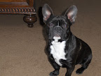 Zoe, 