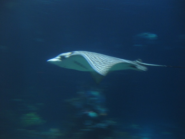 [IMG_39772.jpg]