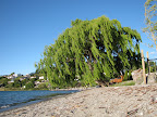 IMG_0643.JPG