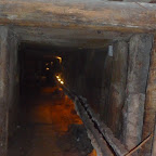 P1000335.JPG