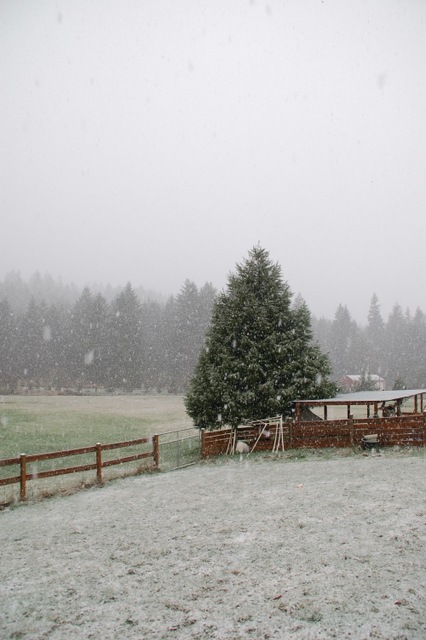 [DSC_5499%255B4%255D.jpg]