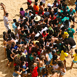 Gata na Praia 