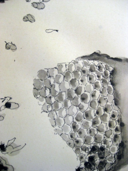[hivedetail%255B6%255D.jpg]