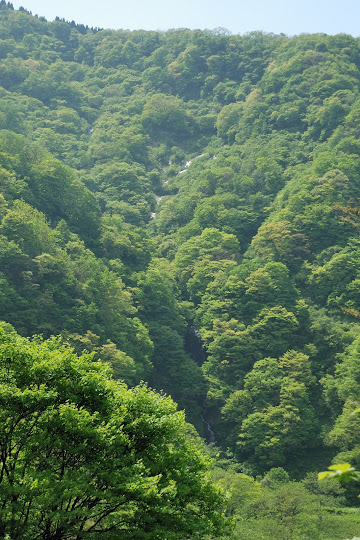 四十ヶ滝